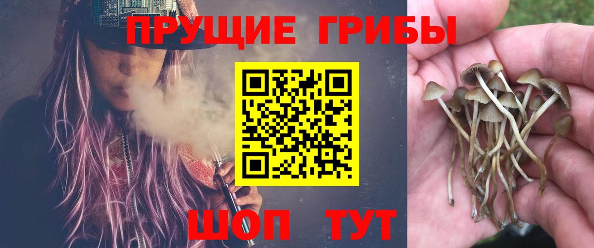 ГАШ  Кокаин  Красногорск  Каннабис  Вход с VPN  ГАШ  Меф МЯУ МЯУ  