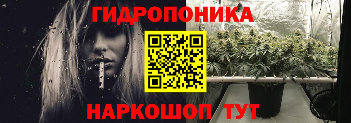 Бошки Шишки OG Kush  Вход с VPN  Красногорск  Бошки Шишки SATIVA & INDICA 